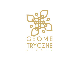 Projekt graficzny logo dla firmy online geometryczne piękno